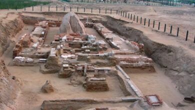How epigraphist S. Rajavelu used inscriptions to unearth temples in Tamil Nadu