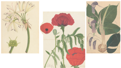 Henry Noltie’s ‘Flora Indica: Recovering Lost Stories from Kew’s Indian Drawings’ | These flowers have a backstory